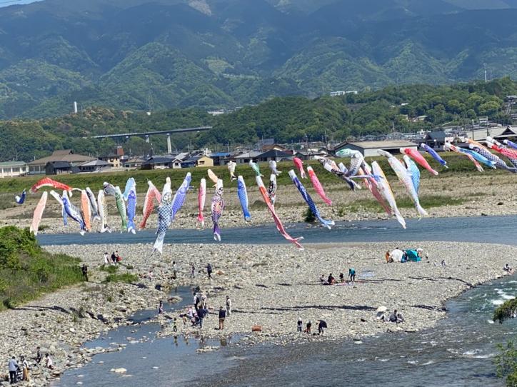 <font color='blue' size='2'>5月!紀ノ川に色とりどりの鯉のぼりが沢山挙げられていた!</font>